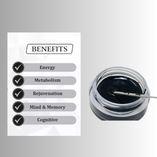 benefits of shilajit resin