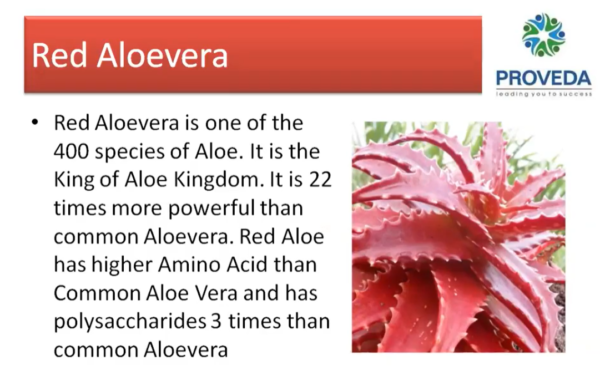 Proveda Nutricio Wellness Red Aloe Vera Juice with Honey and Ashwagandha - 1000 ML  - Image 9