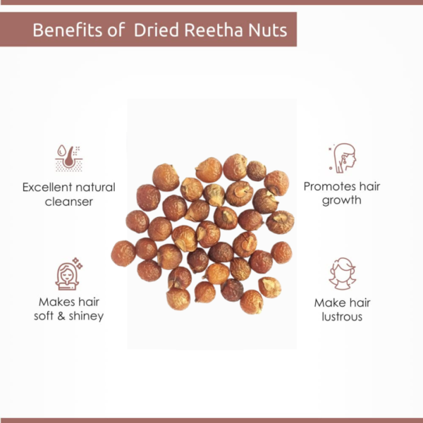 NaturaVives Whole Dried Amla, Reetha, Shikakai (100g Each) Natural Hair Pack | Aritha (Soapnuts), Indian Gooseberry, Dried Shikakai (Acacia Concinna) (300 Gram Pack) - Image 8