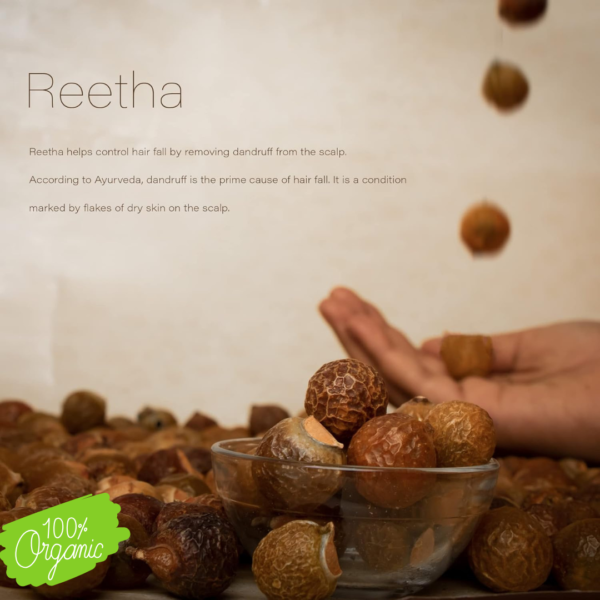 NaturaVives Whole Dried Amla, Reetha, Shikakai (100g Each) Natural Hair Pack | Aritha (Soapnuts), Indian Gooseberry, Dried Shikakai (Acacia Concinna) (300 Gram Pack) - Image 6