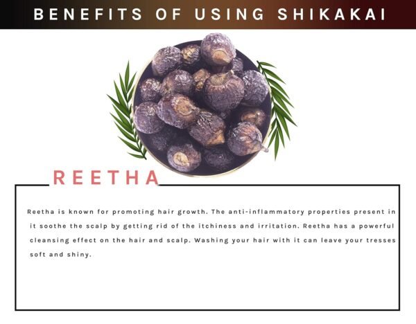 NaturaVives Whole Dried Amla, Reetha, Shikakai (100g Each) Natural Hair Pack | Aritha (Soapnuts), Indian Gooseberry, Dried Shikakai (Acacia Concinna) (300 Gram Pack) - Image 9