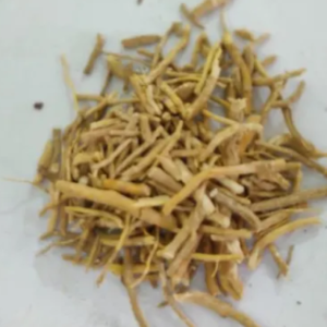 brahmi root