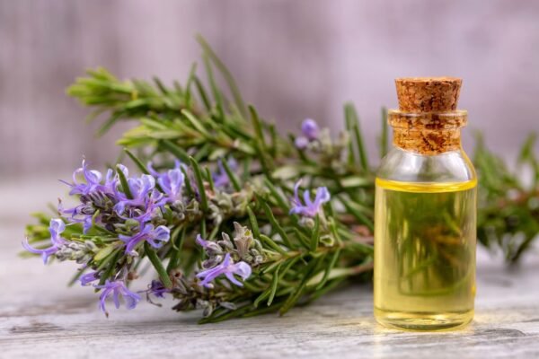 NaturaVives 100% Pure Rosemary Essential Oil Herbal and Therapeutic Grade Oil for Hair, Skin, and Aromatherapy - Image 6