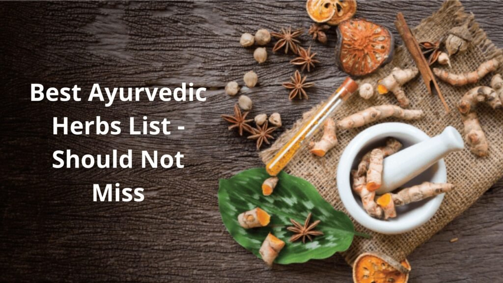 Best-Ayurvedic-Herbs-List-Should-Not-Miss