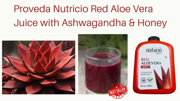 process of red aloe vera juice