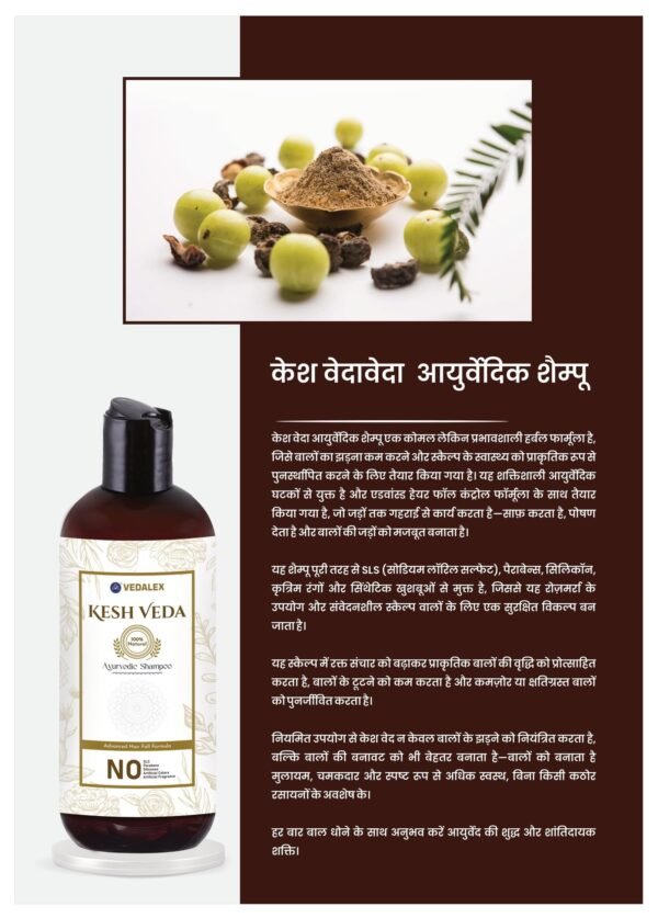 Vedalex Kesh Veda Ayurvedic Shampoo for Hair Fall Control and Hair growth – 500 ml | SLS, Paraben & Silicone Free| Herbal Hair Fall Control Shampoo| Herbal Hair Regrowth Shampoo| For Men & Women - Image 3